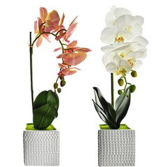 Artificial Moth Orchid with Square Pot, 20-Inch