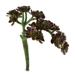 Artificial Bush Succulent Pick, 6-inch