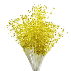 Pearl Beads Spray, 8-Inch, 12-Count