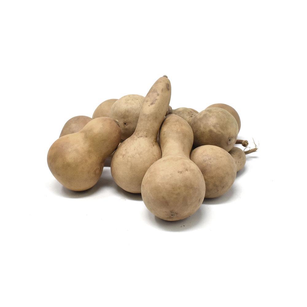 Preserved Field Gourd Bowl Filler, Natural, 10-Piece