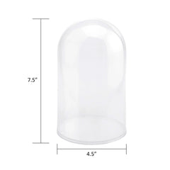 Plastic Dome Display Case, Clear Base