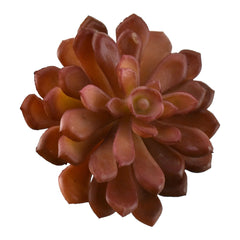 Artificial Soft Touch Baby Aeonium Pick, 6-inch