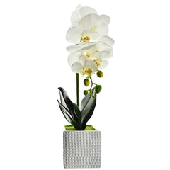 Artificial Moth Orchid with Square Pot, 20-Inch