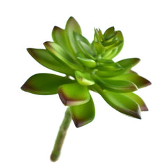 Artificial Green Prince Succulent, 6-1/2-inch