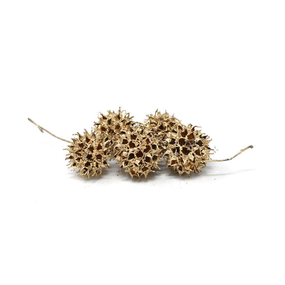 Natural Goldleaf Sweet Gum Balls, Gold, 5-Piece