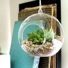 Clear Glass Terrarium Air Plant Candle Holder, With Loop
