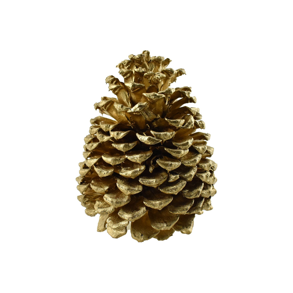 Dried Natural Jeffrey Pine Cone, Gold