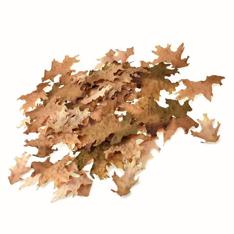 Artificial Fall Dry Oak Leaves, Brown, Assorted Sizes, 62-Piece