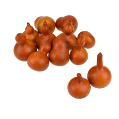Artificial Bagged Bottle Gourd Fall Decor, Assorted Sizes, 12-Piece