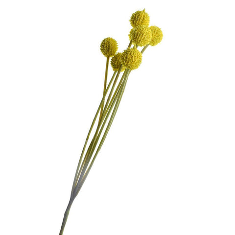Artificial Billy Button Flower Spray, 24-1/2-Inch