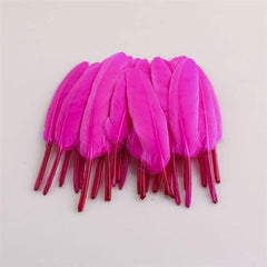 Duck Feather Decorative, 6-inch, 50-count