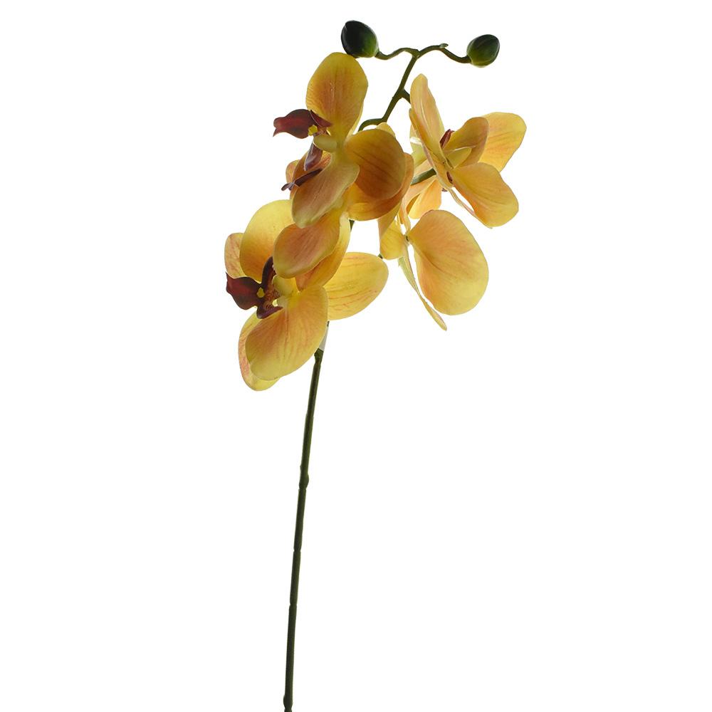 Artificial Moth Orchid Spray, 23-1/2-Inch