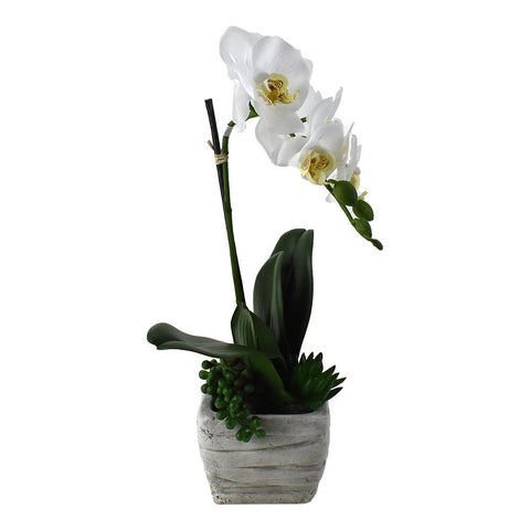 Artificial Phalaenopsis Moth Orchid in Pot, 15-1/2-Inch