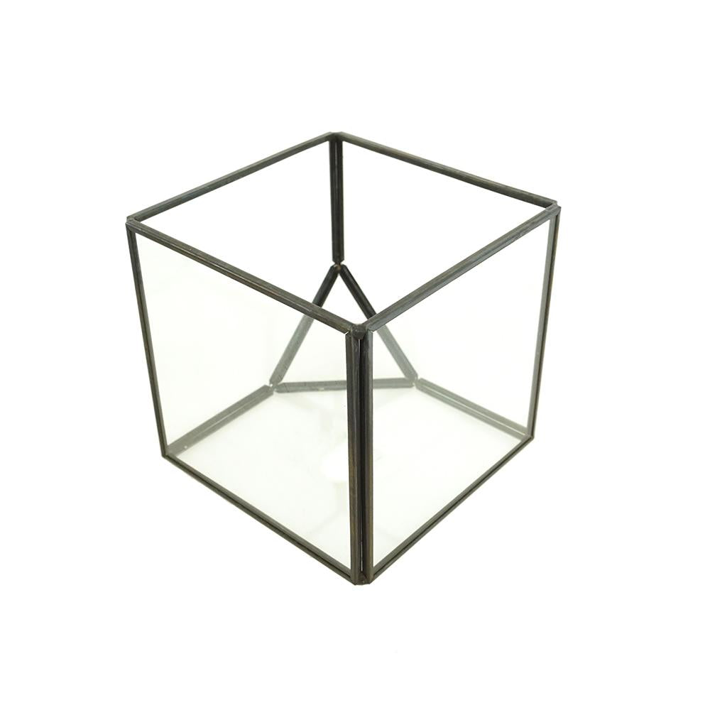 Tilted Cube Glass Terrarium, Black, 4-Inch