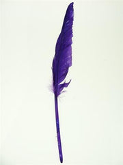 Duck Feather Decorative, 14-inch, 10-count