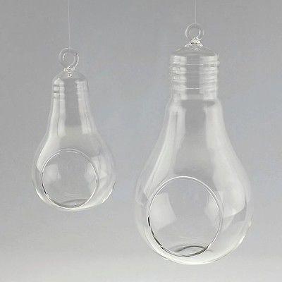 Bulb Glass Terrarium Air Plant Home Decor