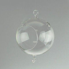 Clear Glass Terrarium Air Plant Home Decor Candle Candle Holder