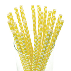 Race Car Checkered Paper Straws, 7-3/4-Inch, 25-Piece