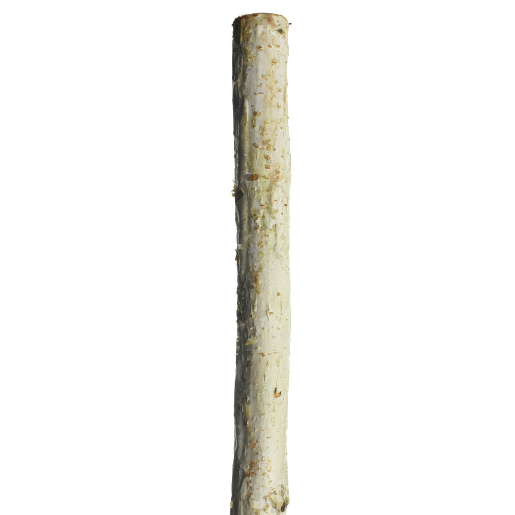 Natural Birch Wood Pole, 1-Inch x 48-Inch