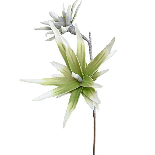 Tall Artificial Yucca Plant with 2 Flower Heads, 34-inch, Gray/Green